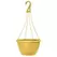 Grower Select 13.00 Everest Hanging Basket, With 18in Hanger, Blush Sunglow, 64 per Case, 12.99in OD x 7.48in H, 2.8 Gallon