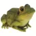 MCarr Frog