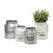 Deer Park 2pc Set Dairy Jug Cream & Galvanized