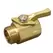 Dramm Brass Shut-off Hose/hose Carded