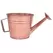 Grower Select 7.50 Watering Can Planter Copper 12/CS