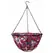 Gardener Select 14" Hanging Basket Red Purple Fabric Coco Liner 6/CS