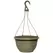 Grower Select 12.00 Boxwood Hanging Basket ACP Aged Cappuccino with Hanger 50/CS