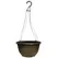 Grower Select 12.00 Boxwood Hanging Basket Mahogany with Hanger 50/CS