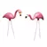 Bloem 2Pk Pink Flamingo