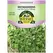 Microgreens, Pak Choi Chinese Cabbage - 590 Mg