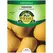 Squash, Early Butternut Hybrid - 1 Gram