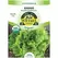 Organic Batavian Endive - 2 Gram