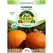 Organic Jack O Lantern Pumpkin - 3 Gram