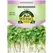 Microgreens, Arugula - 800 Mg
