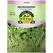 Microgreens, Coriander/Cilantro - 700 Mg