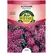 ALYSSUM, ROYAL CARPET 280 MG