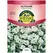 ALYSSUM, CARPET OF SNOW 280 MG