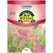 CLEOME, ROSE QUEEN SPIDER PLANT 280 MG