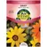 AFRICAN DAISY AURAN MIX 280 MG