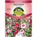 HOLLYHOCK, INDIAN SPRING PKT 470 MG
