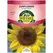 Sunflower, Sunspot Dwarf - 2 Gram