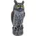 Dalen 16" Great Horned Owl Hand-Painted