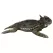 MCarr Large Horned Toad Resin Statue