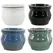 MCarr 8PC 6" Self Water Round Pot Asst