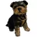 MCarr 8.1" Yorkshire Puppy