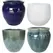 MCarr 81pc Mixed Planter Pallet Mixed Colors