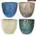 MCarr 32pc Round Leaf Planter Pallet Mixed Colors