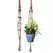 Primitive 36" Beaded All Natural Plant Hanger