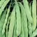 Beans, Roma II - 1/2lb