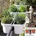 Apollo 16" Double Sided Adjustable Railing Planter White