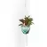 Primitive 42" Cotton Woven Hanger Plain Cord
