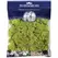 SuperMoss 120cu Bag Preserved Reindeer Moss Chartreuse