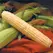 Corn, Providence - 50lb