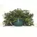 BLD 8" Green Hanging Basket W/Saucer & Wire Hanger 50/cs
