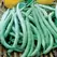 Beans, Tenderette Bush - 25lb