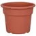 DLN 06.00 COLOR POT TL CL 98/CS SEASONAL 66CS/PL