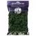 SuperMoss 2oz Reindeer Moss Forest