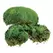 SuperMoss 200cu Bag Preserved Royal Pool Moss