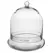 SSI 10" x 11 3/8" Terrarium Cloche