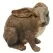 MCarr Junior Rabbit Gray