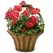 Deer Park Solera Basket With Coco Liner