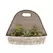 Deer Park Succulent Wall Planter Silver White