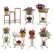 Deer Park 20pc Planter Assortment