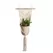 Primitive Small Wall Planter V