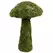 SuperMoss Sm Deco Mushroom
