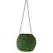 SSI 6" Kokedama Green Moss