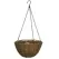 Panacea 14" Hanging Basket Green Growers