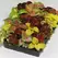 COLEUS, WIZARD MIX 1000/PKT