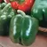 Peppers, King Arthur Hybrid 1,000 Seed