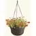Bloem 12" Dura Cotta Hanging Basket Black